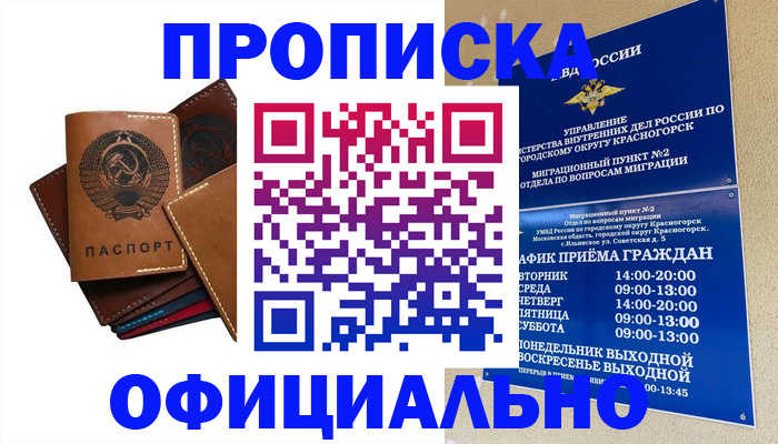 временная прописка в Палласовке
