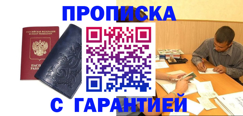 временная регистрация госуслуги в Палласовке